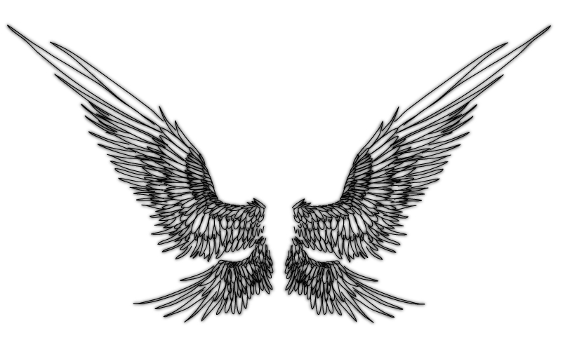 Wing doodles by Kaljaia