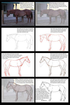 Horse Warmup + Trace Lesson