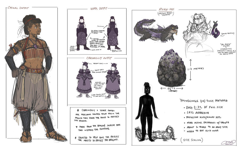 Dragon Rider Concept by ApricotKnight on DeviantArt