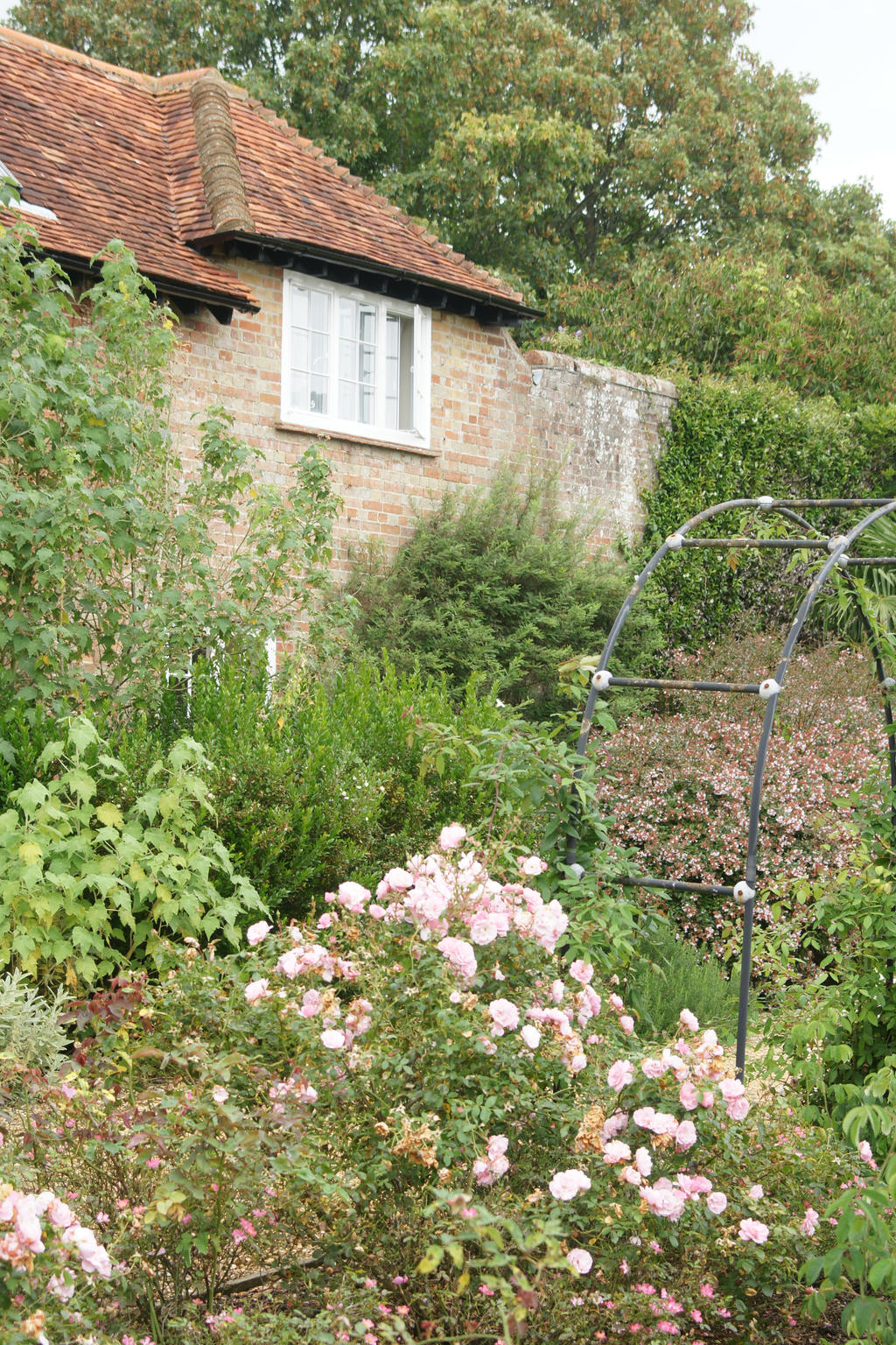 Cottage Garden