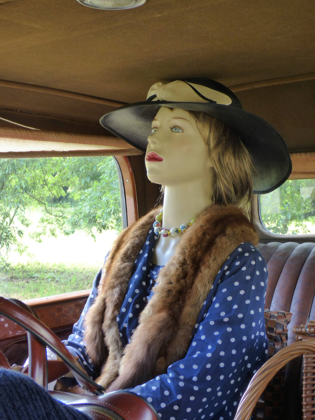 Driving Miss Daisy by Jaspersmum