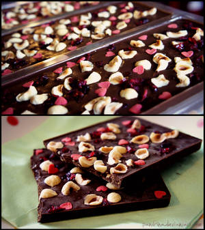 Hazelnut Chocolate with Cranberries