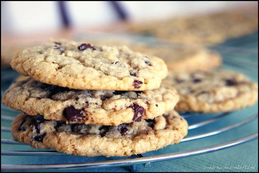 Chocolate Chip Walnut Cookies