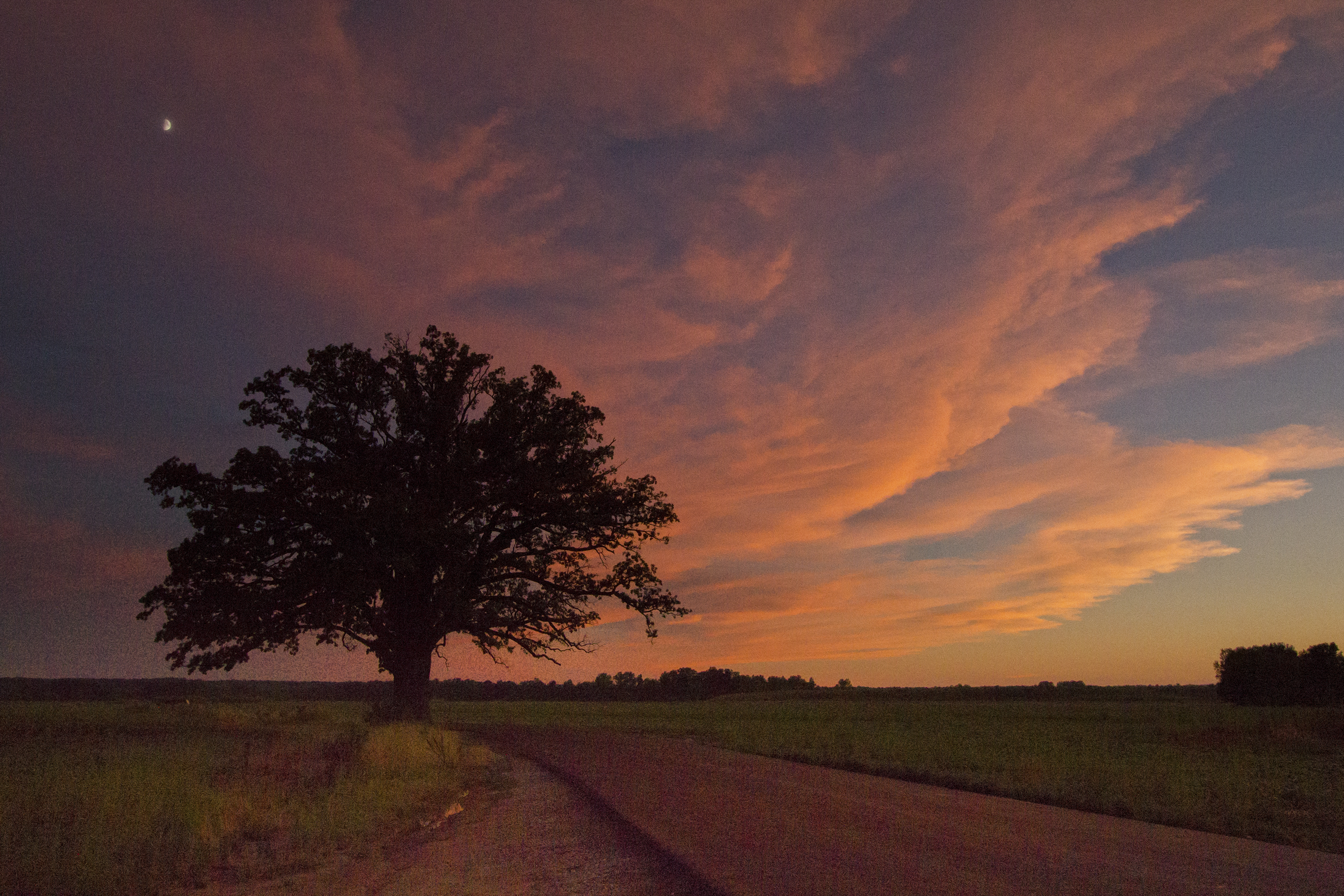 Glory of Summer