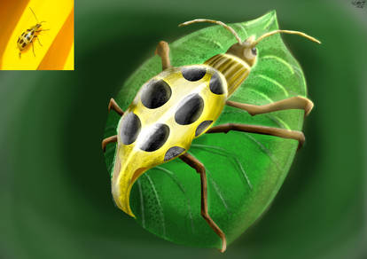 Insectosaurus Colored Explore the Best Insectosaurus Art | DeviantArt