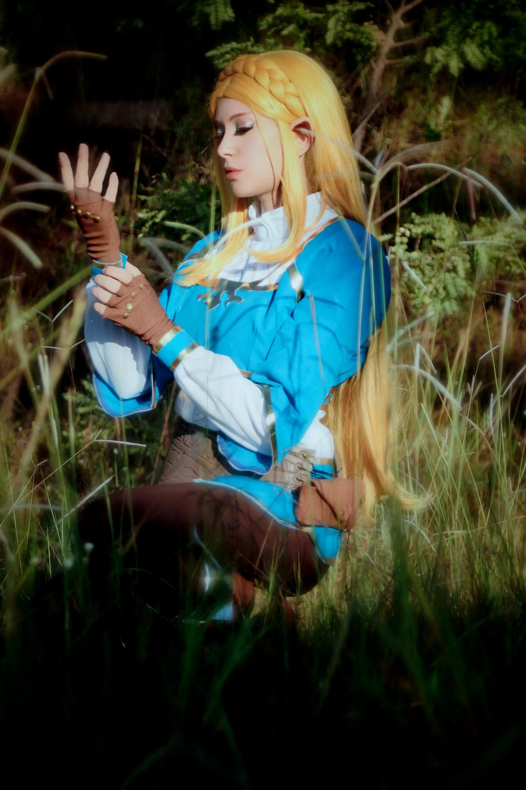 Princess Zelda II - Breath of the Wild Cosplay by rizzyun on DeviantArt