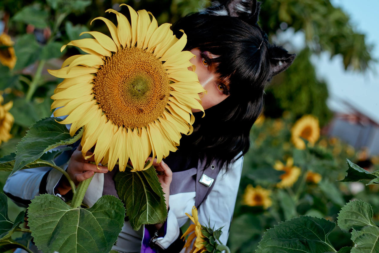 Blake IV - RWBY Cosplay by rizzyun on DeviantArt