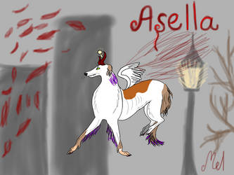 Asella