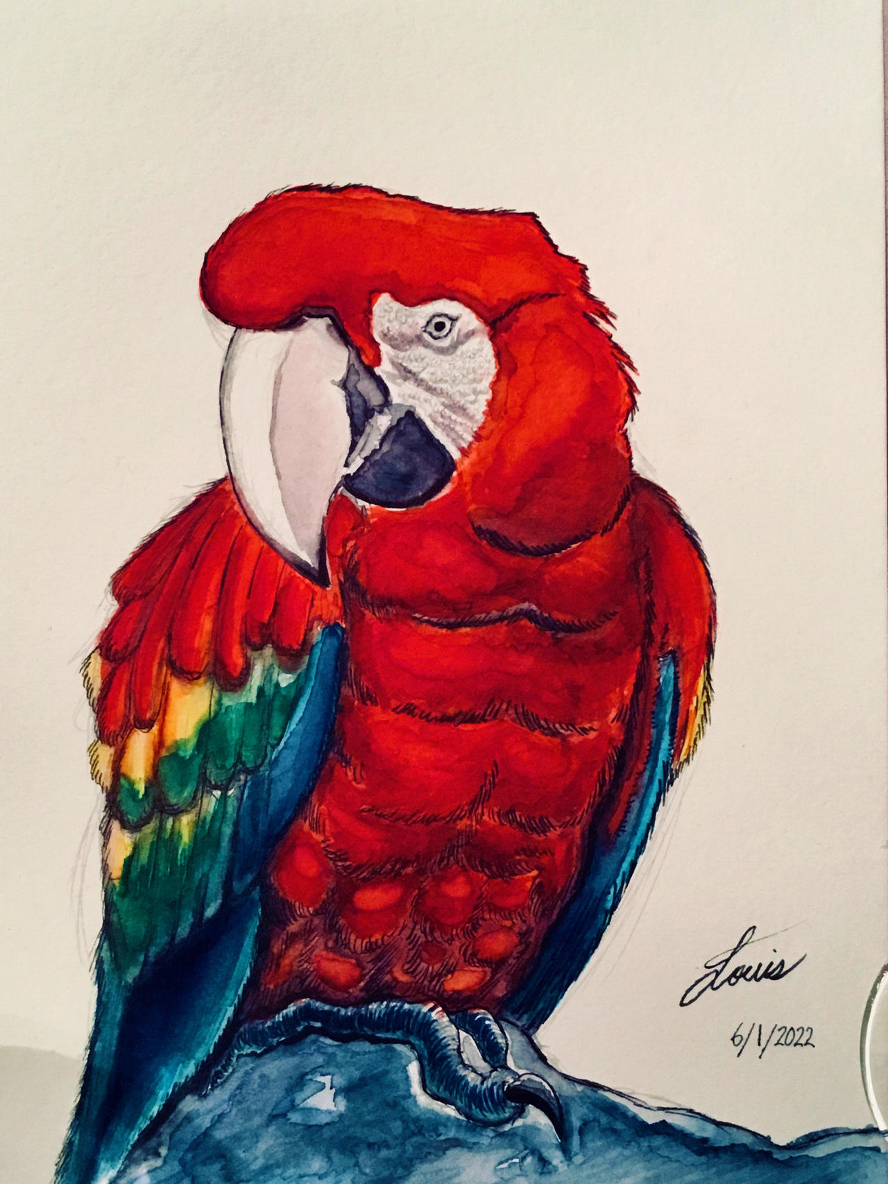 Tropical Macaw by BlueScholar on DeviantArt