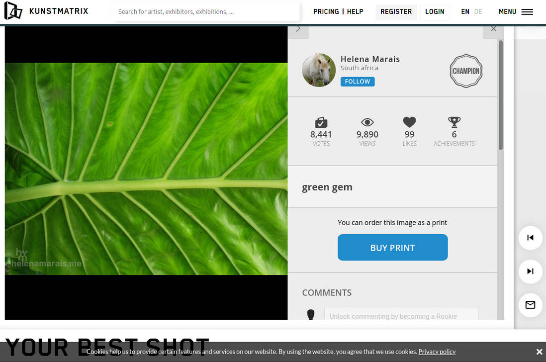 Gurushot - Your best Shot virtual Exhibition 2021-