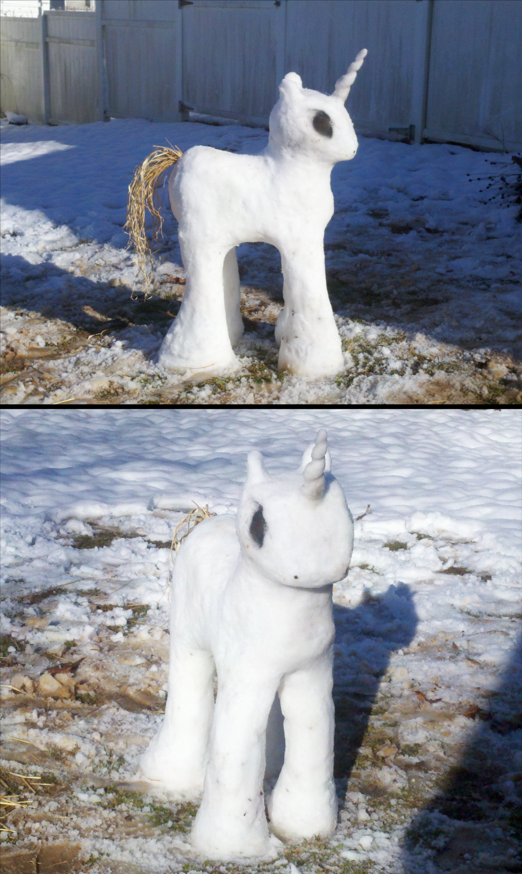 SnowPony