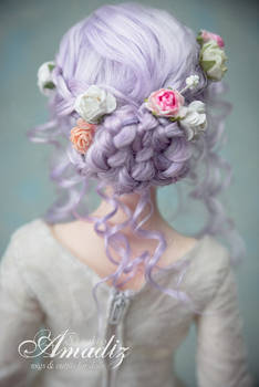 Winter rose Back