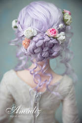 Winter rose Back