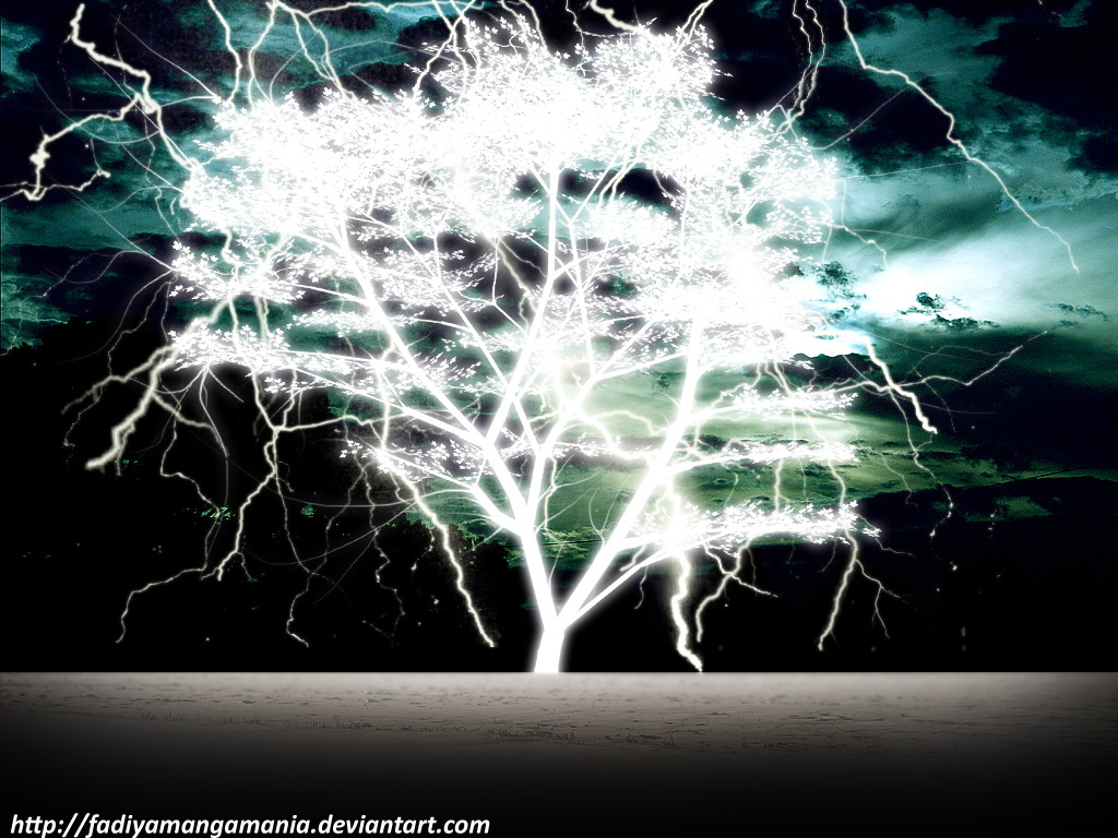 The Lightning Tree