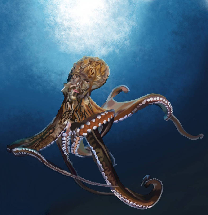 Octobas Octobas by RV16 on DeviantArt