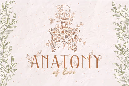 Anatomy of Love