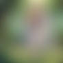 Pirotess. in a forest