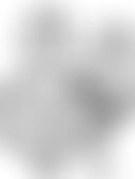 Duke Nukem and the twins