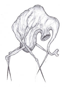 Sniffer