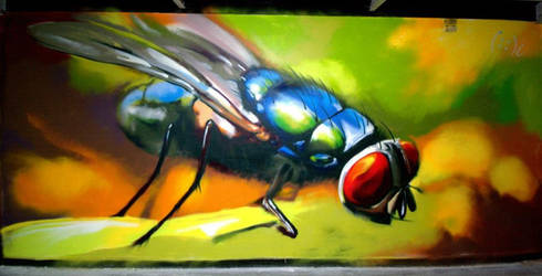 4aero fly streetart by aniaart