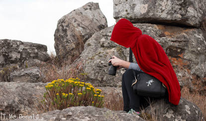 If Little Red Riding Hood was a photographer