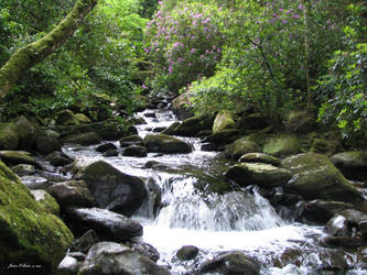 Torc Waterfall