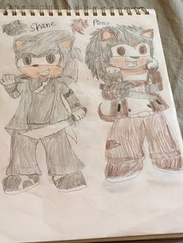 Sonic OC Redesigns 1/5: Shane and Pierce 