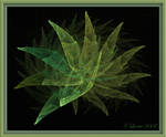 High Grass by Colliemom