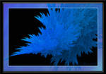 Aqua Blue by Colliemom