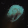 Underwater