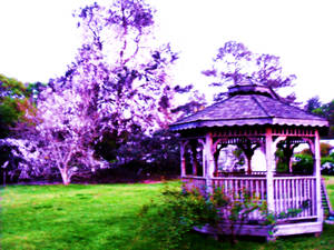 The Gazebo in Spring