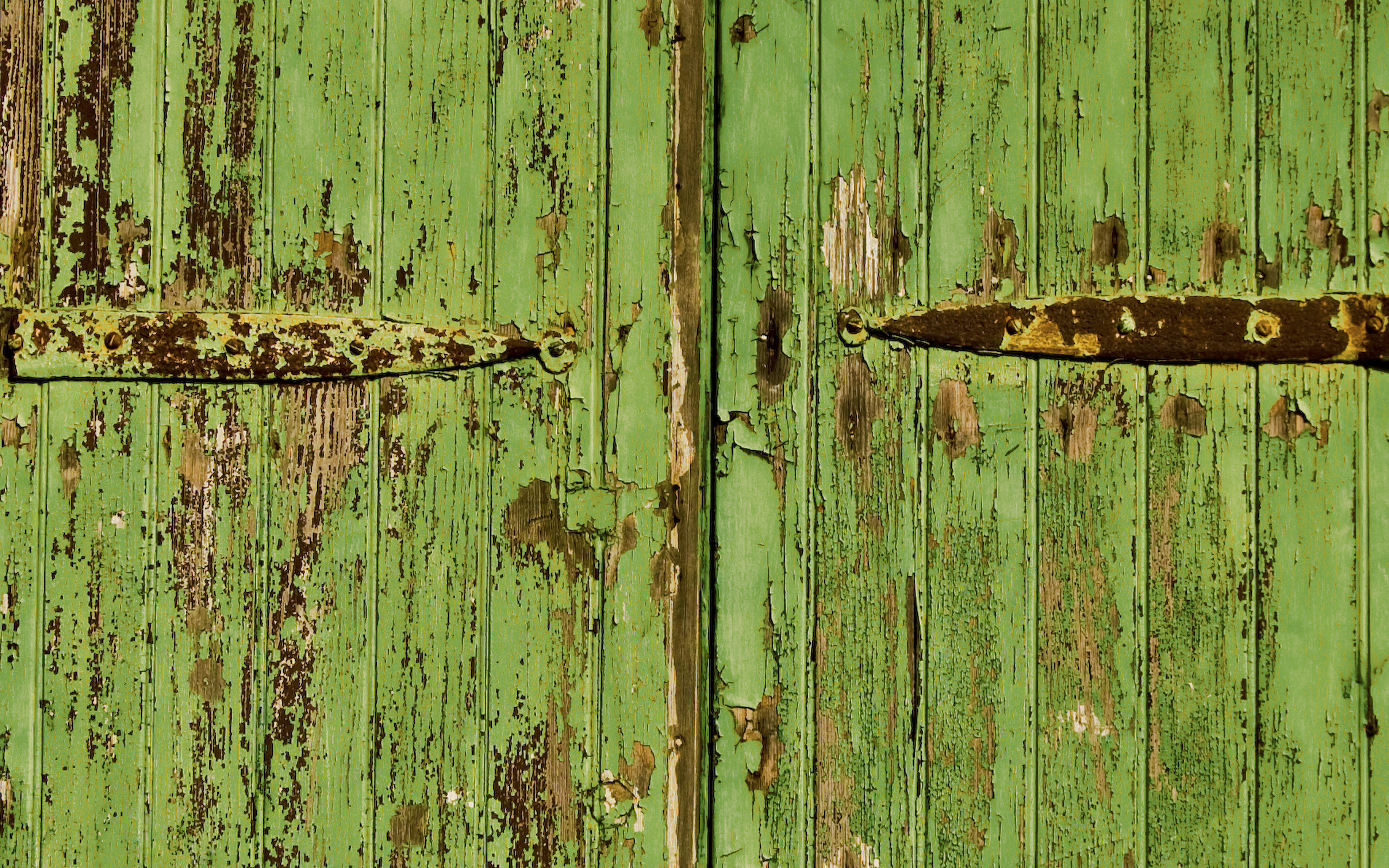 green door texture