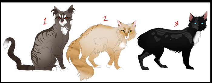 Lost Colony Cat Adopts | Closed 3/3