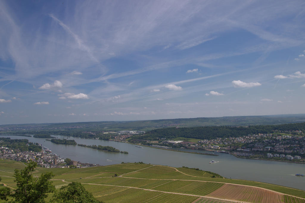 Rhein by xxsolni6koxx on DeviantArt