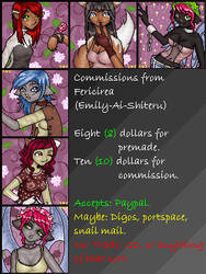 Commission Info- Fericirea