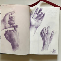 The hand series