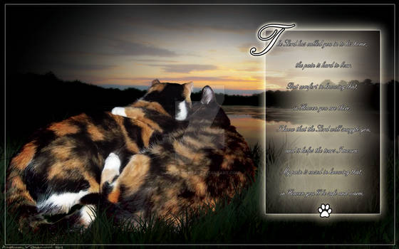 Memorial poem for Patches