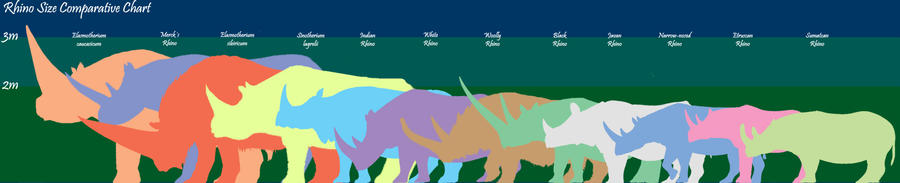 Rhino Comparison Chart