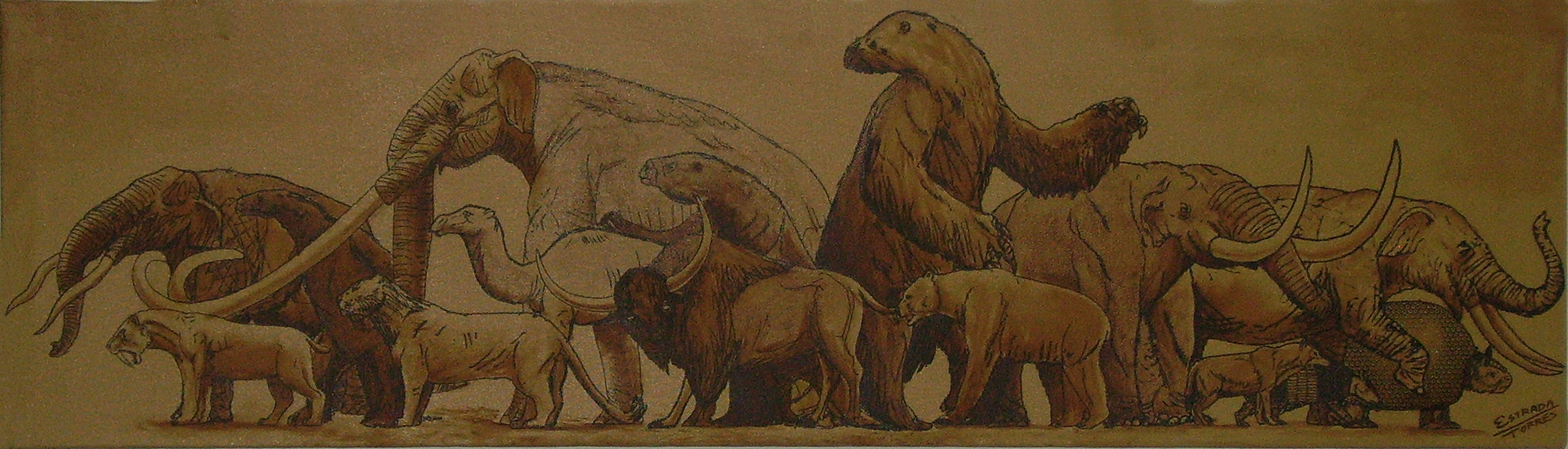 Mexican Megafauna