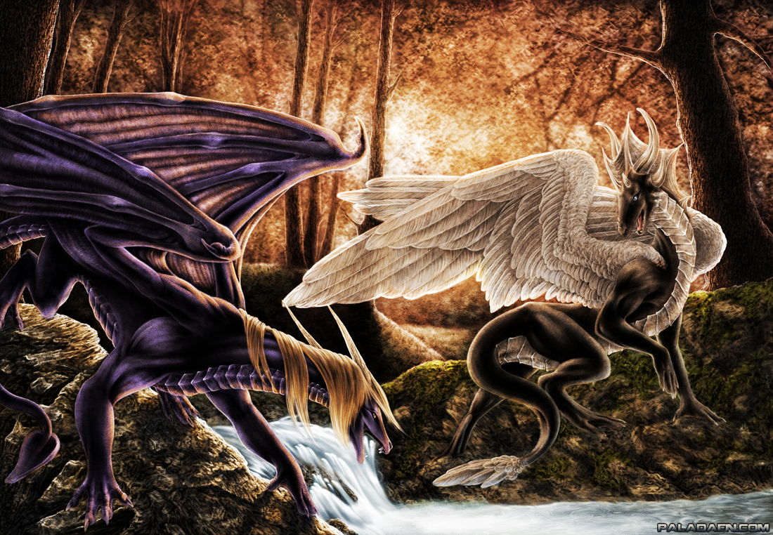 Forest dragons by Marawuff