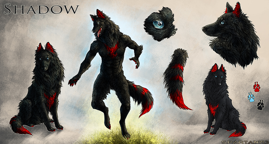 Reference Sheet - Shadow