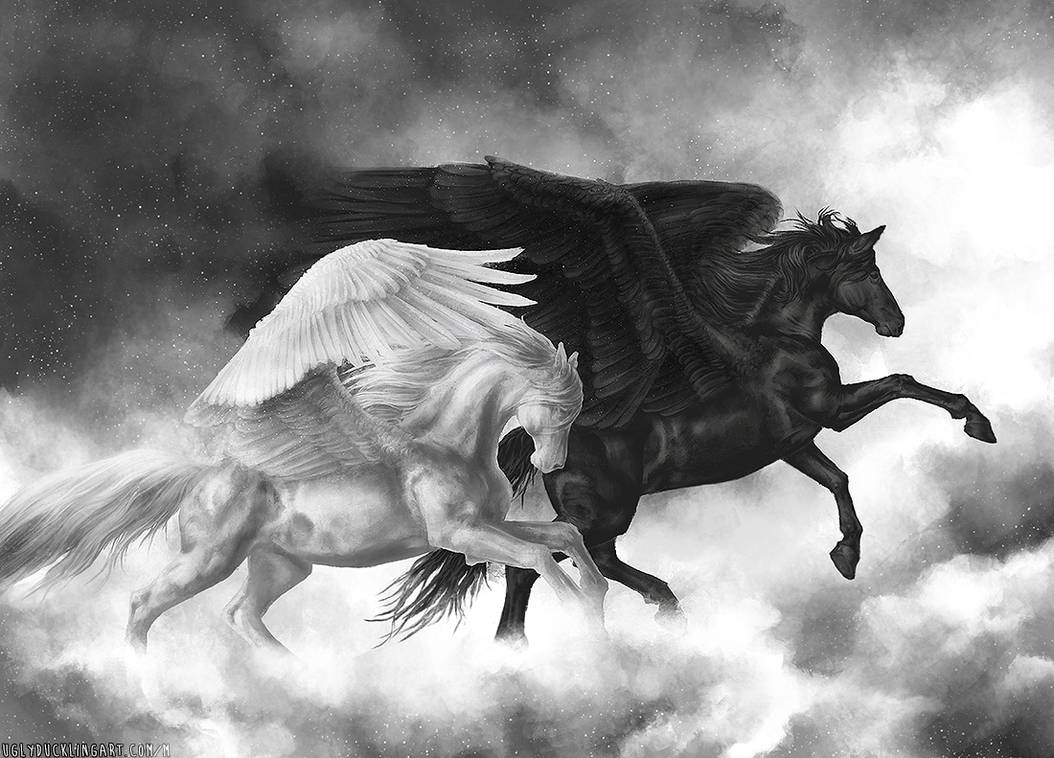Отец крылатого коня пегаса. Черные Единороги и пегасы. Черная лошадь с крыльями. Лошади фэнтези. Черный конь с крыльями.