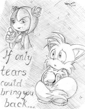 If Only Tears...:TailsXCosmo