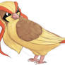 Pidgeot