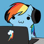 Dashie surfing the web