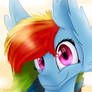 [MLP]Rainbow Dash