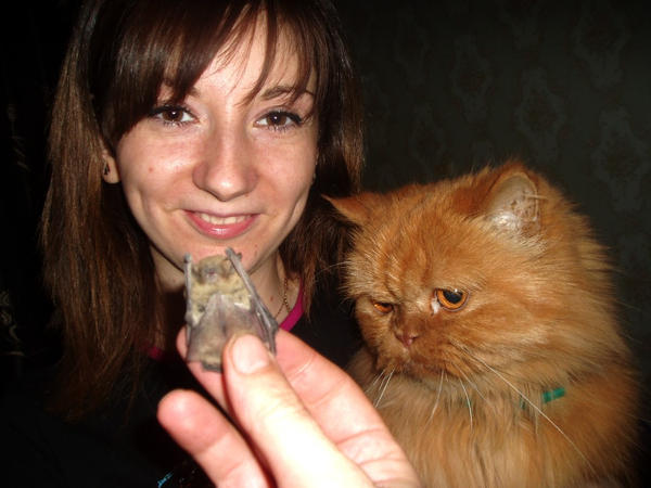 Nastya,Vilya and the Bat