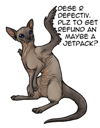 Hairless weasel-cat-bird -KD-