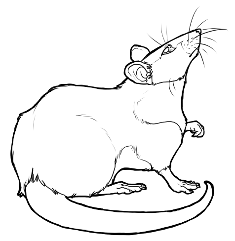 Free Rat Lineart by BasiliskZero on DeviantArt