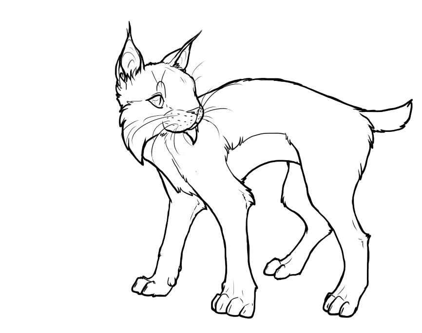 Bobcat Lineart